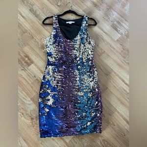 NEW Boston Proper sequin dress, Size 6